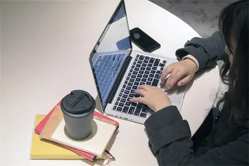 怎么样制作洛神花脯