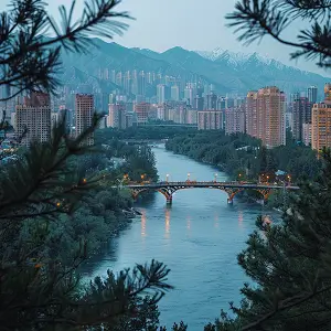 美食鱼泡做法大全